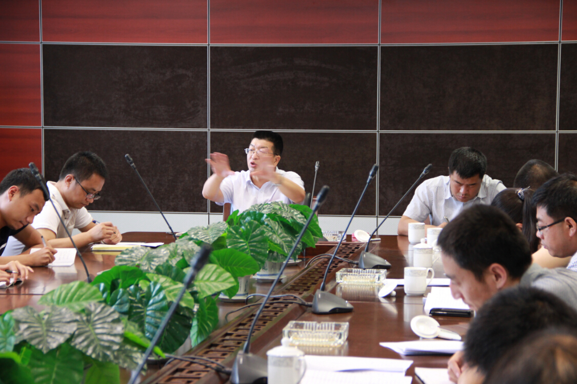 直属二分公司召开2015年度上半年工作总结暨下半年工作安排会议